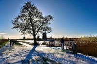 Zie de zon schijnt door de bomen